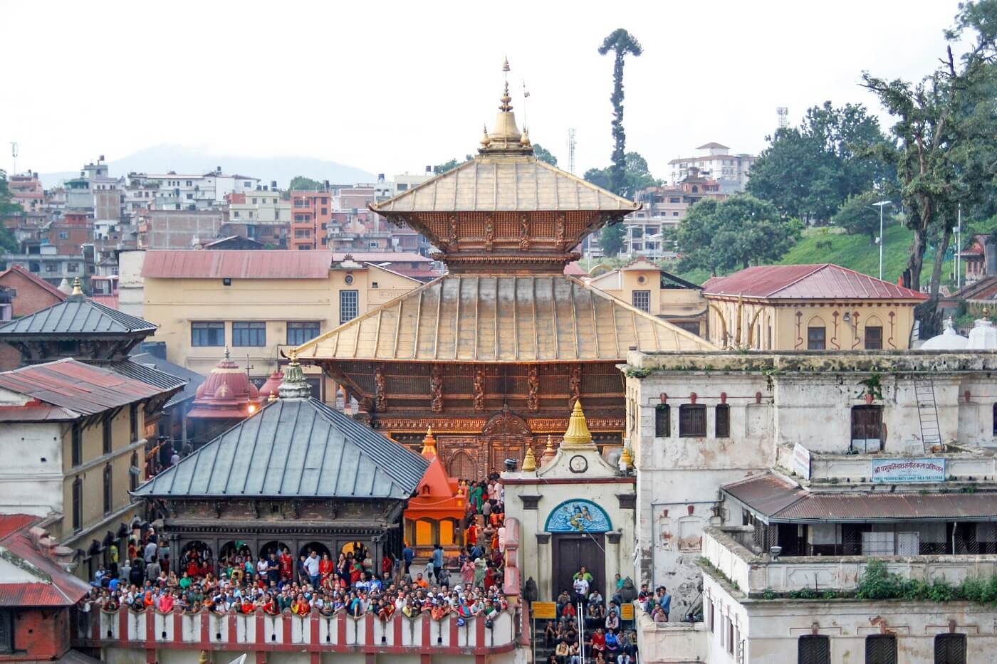 महाशिवरात्रिमा पशुपति क्षेत्रमा यस्तो हुनेछ ट्राफिक व्यवस्था