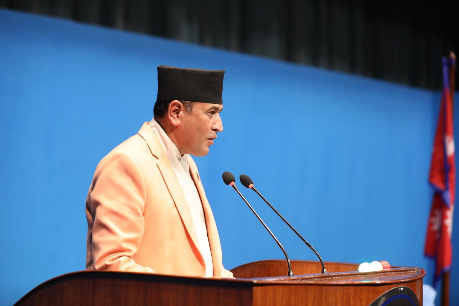 प्रतिनिधिसभामा संघीय निजामती सेवा विधेयकसम्बन्धी संसदीय समितिको प्रतिवेदन पेस